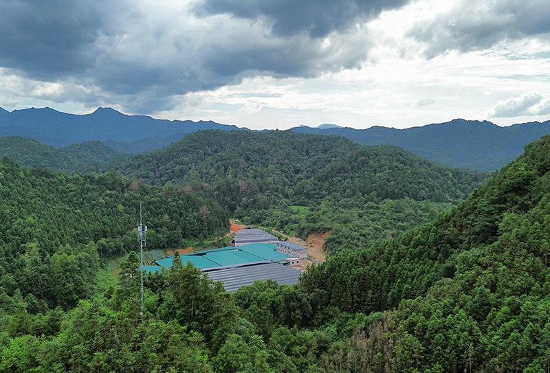 江西铁塔：“三大路径”书写高质量发展答卷